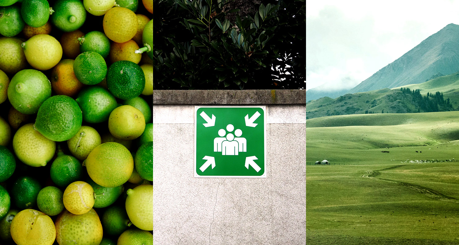 Grün im Webdesign: Der ultimative Praxisleitfaden 9