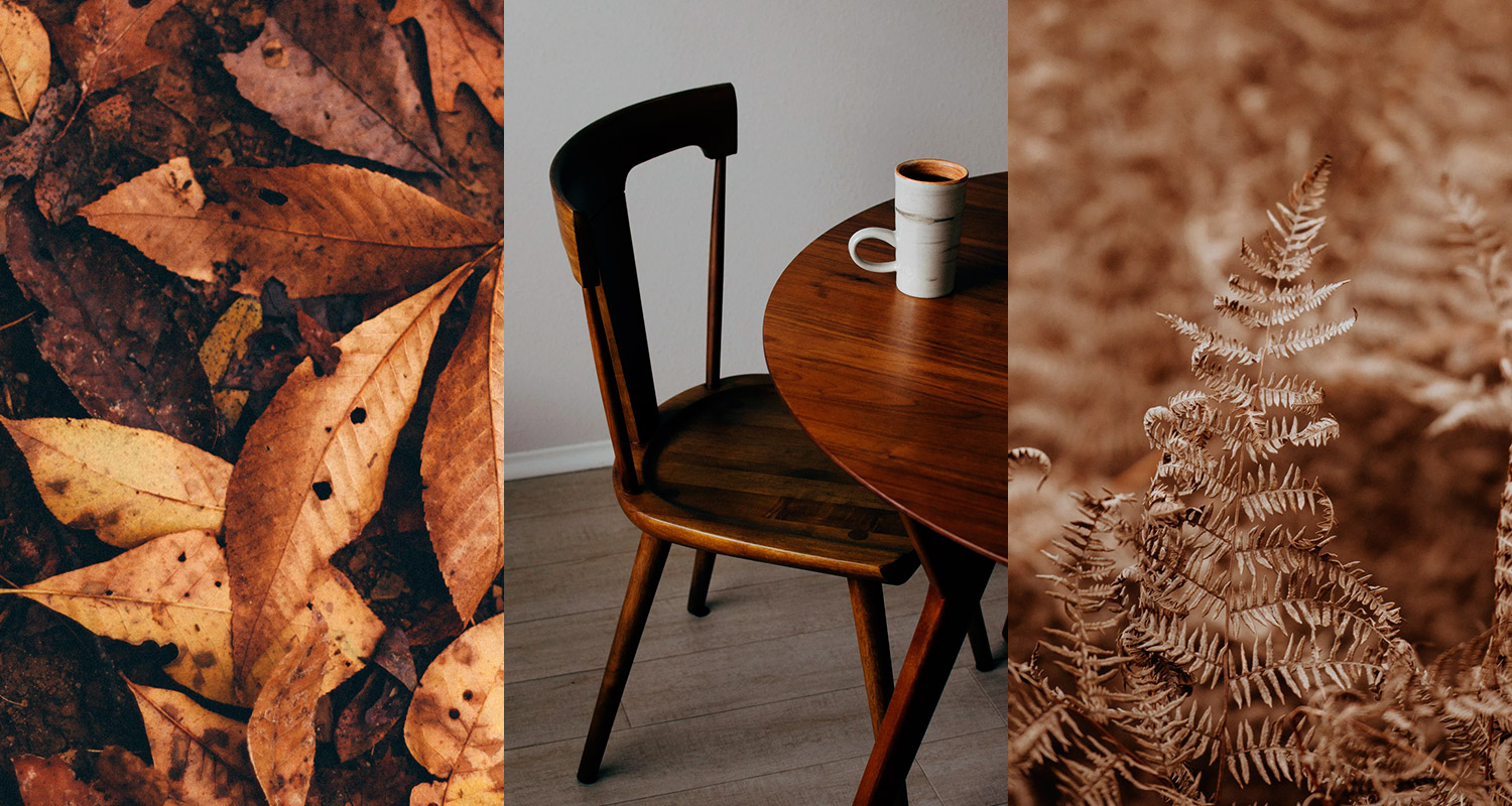 Die Farbe Braun im Design verstehen und einsetzen 7